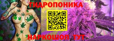 spice Шахты